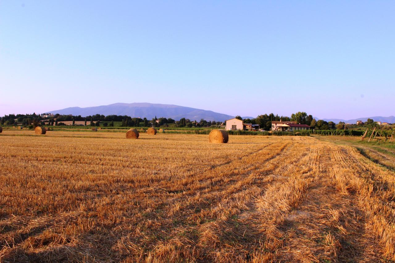 Le Case Bevagna Esterno foto